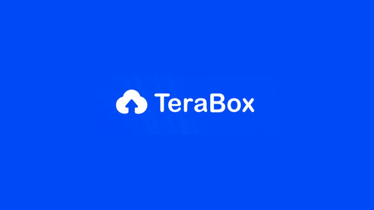 Chi tiết về Terabox